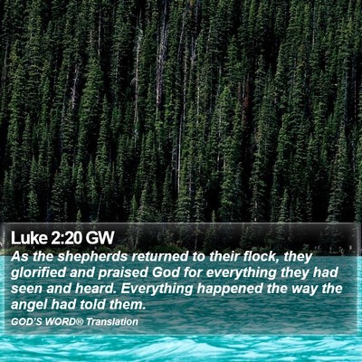 Luke 2:20 GW Bible Verse Image