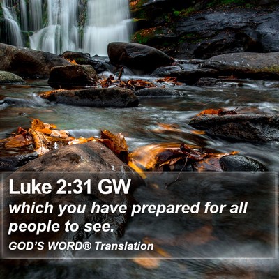 Luke 2:31 GW Bible Verse Image