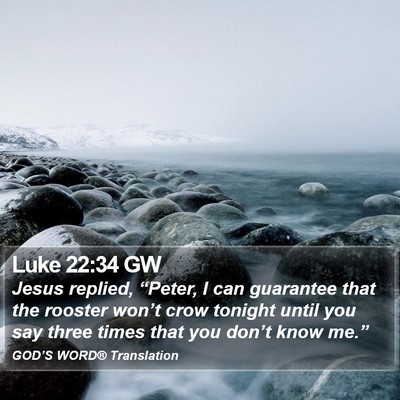 Luke 22:34 GW Bible Verse Image