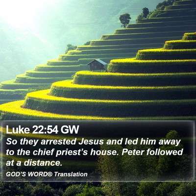 Luke 22:54 GW Bible Verse Image