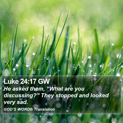 Luke 24:17 GW Bible Verse Image