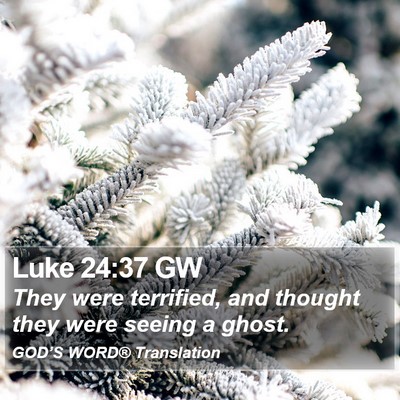 Luke 24:37 GW Bible Verse Image
