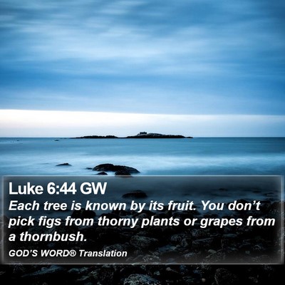 Luke 6:44 GW Bible Verse Image
