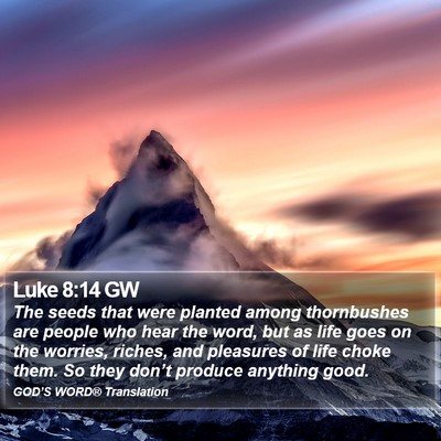 Luke 8:14 GW Bible Verse Image