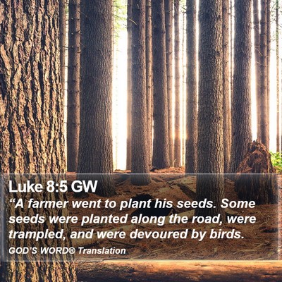 Luke 8:5 GW Bible Verse Image