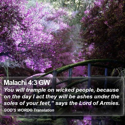 Malachi 4:3 GW Bible Verse Image