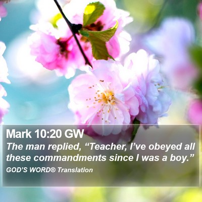 Mark 10:20 GW Bible Verse Image