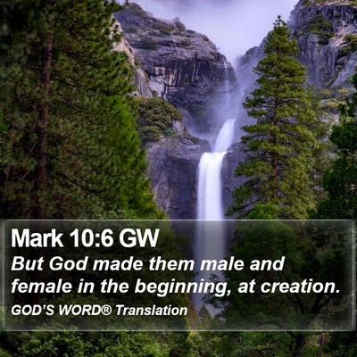 Mark 10:6 GW Bible Verse Image