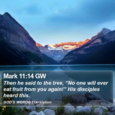 Mark 11:14 GW Bible Verse Image