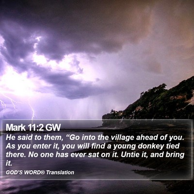 Mark 11:2 GW Bible Verse Image