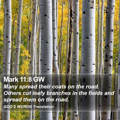 Mark 11:8 GW Bible Verse Image