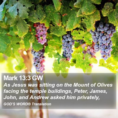Mark 13:3 GW Bible Verse Image