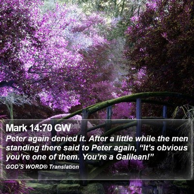 Mark 14:70 GW Bible Verse Image