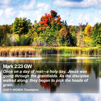 Mark 2:23 GW Bible Verse Image