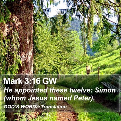 Mark 3:16 GW Bible Verse Image