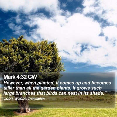Mark 4:32 GW Bible Verse Image