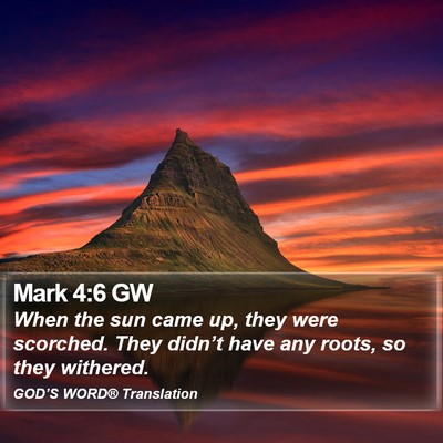 Mark 4:6 GW Bible Verse Image