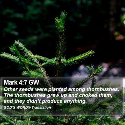 Mark 4:7 GW Bible Verse Image
