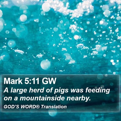 Mark 5:11 GW Bible Verse Image