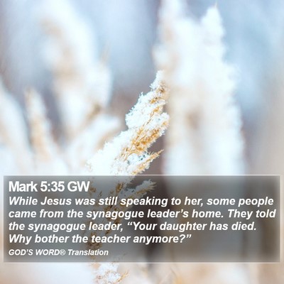 Mark 5:35 GW Bible Verse Image