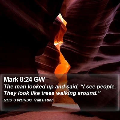Mark 8:24 GW Bible Verse Image