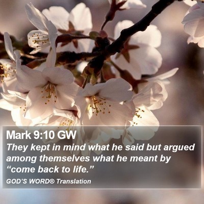 Mark 9:10 GW Bible Verse Image