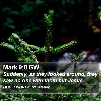 Mark 9:8 GW Bible Verse Image