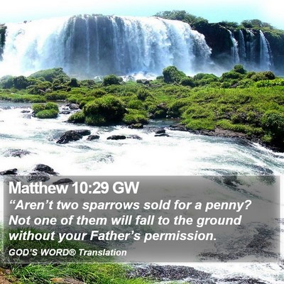 Matthew 10:29 GW Bible Verse Image
