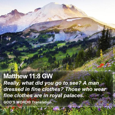 Matthew 11:8 GW Bible Verse Image