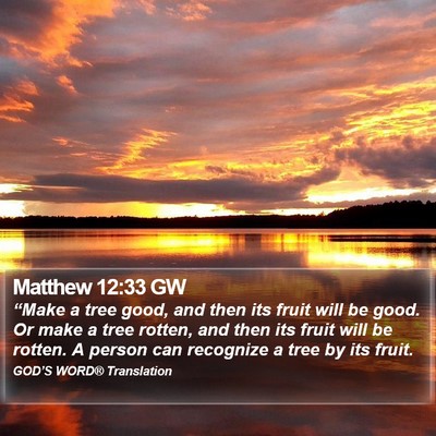 Matthew 12:33 GW Bible Verse Image