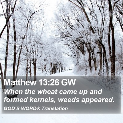 Matthew 13:26 GW Bible Verse Image