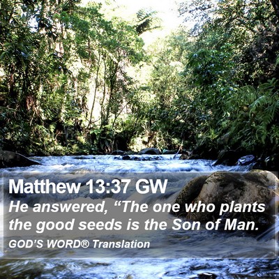 Matthew 13:37 GW Bible Verse Image