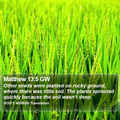 Matthew 13:5 GW Bible Verse Image