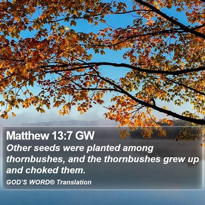 Matthew 13:7 GW Bible Verse Image