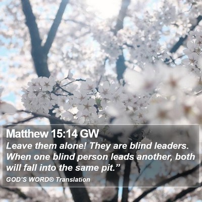 Matthew 15:14 GW Bible Verse Image