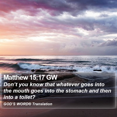 Matthew 15:17 GW Bible Verse Image