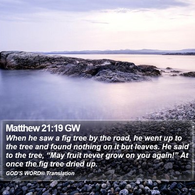Matthew 21:19 GW Bible Verse Image