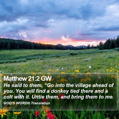 Matthew 21:2 GW Bible Verse Image