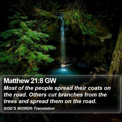 Matthew 21:8 GW Bible Verse Image