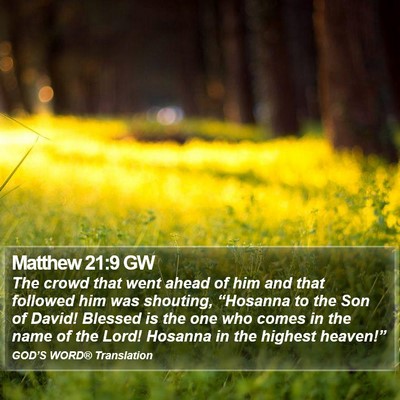 Matthew 21:9 GW Bible Verse Image