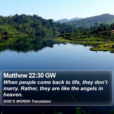 Matthew 22:30 GW Bible Verse Image