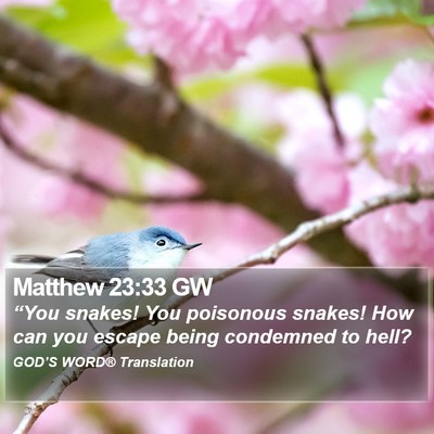 Matthew 23:33 GW Bible Verse Image
