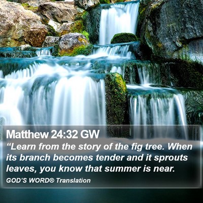 Matthew 24:32 GW Bible Verse Image