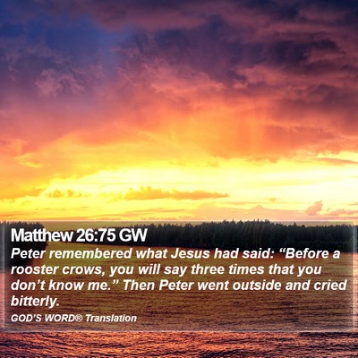Matthew 26:75 GW Bible Verse Image