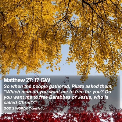 Matthew 27:17 GW Bible Verse Image