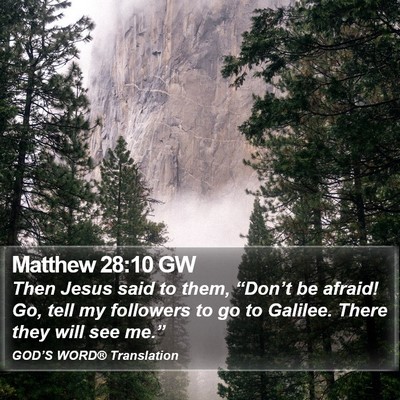Matthew 28:10 GW Bible Verse Image