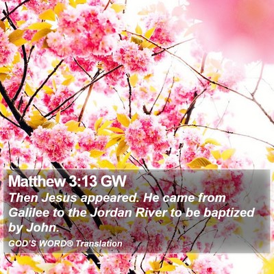 Matthew 3:13 GW Bible Verse Image