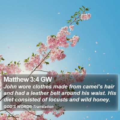 Matthew 3:4 GW Bible Verse Image