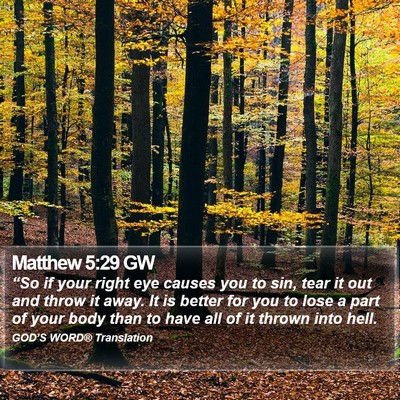 Matthew 5:29 GW Bible Verse Image