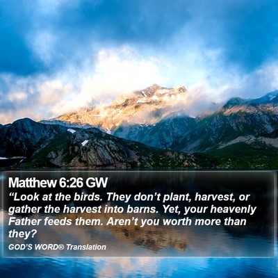 Matthew 6:26 GW Bible Verse Image